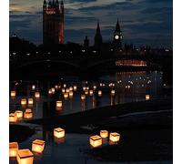 Mad Monkey 2000005 Linternas de Agua con 10 Velas de té, 100% Biodegradables