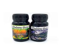 MADAME GROW Fertilizante 420 plantas verdes - Abono para plantas verdes - Abono líquido para plantas - Fertilizante para el crecimiento universal - Fertilizante para la floración (KIT FLOWER 2x250ml)