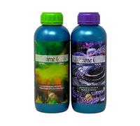 MADAME GROW Fertilizante 420 plantas verdes - Abono para plantas verdes - Abono líquido para plantas - Fertilizante para el crecimiento universal - Fertilizante para la floración (KIT FLOWER 2x1L)