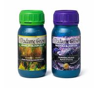 MADAME GROW Kit Flower - Fertilizante de Floración Profesional - Jamaican Bloom 28-25 + Bazooka Bloom K30 - Más Producción, Flores Más Compactas y Mejor Sabor - 2 x 250 ml