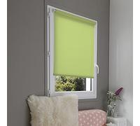MADECOSTORE Estor Enrollable tamizante, Poliéster, Helecho Verde, L71 x H190cm (Tissu L67cm)