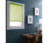 MADECOSTORE Estor Enrollable tamizante, Tejido poliéster, Verde Claro, L71 x H190cm (Tissu L67cm)