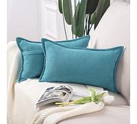 Madizz Juego de 2 Suave Felpilla Decorativo Funda de cojíns Lujo Estilo Fundas de Almohada para el sofá Dormitorio Azul pálido Rectangular 40 x 60 cm
