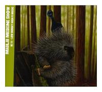 Madlib - Medicine Show #11: Lowbudget High-Fi Music