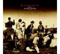 Madness - The Rise And Fall