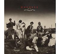 Madness - The Rise And Fall
