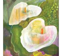Mae Powell - Making Room For The Light [Casete]