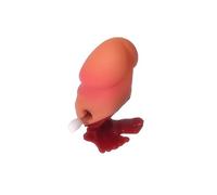 Maelsa® Relleno y atrapa - Todo lo que necesitas sobre el Zizi - para adictos al Zizi, regalo de cumpleaños, Navidad, EVJF