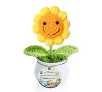 Maestra Regalo Maceta de Clavel Girasol Crochet Profesores Positivo Día del Maestro Mujeres Hombres Hecho A Mano Tejido Estudiantes Graduación Navidad Jubilado Agradecimiento Tutor Adornos (Maestro)
