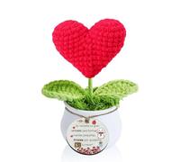 Maestra Regalo Maceta de Clavel Girasol Crochet Profesores Positivo Día del Maestro Mujeres Hombres Hecho A Mano Tejido Estudiantes Graduación Navidad Jubilado Agradecimiento Tutor Adornos (Corazón)