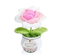 Maestra Regalo Maceta de Clavel Girasol Crochet Profesores Positivo Día del Maestro Mujeres Hombres Hecho A Mano Tejido Estudiantes Graduación Navidad Jubilado Agradecimiento Tutor Adornos (Maestra)