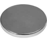 MAG-Mate NE10012NP42 Disco de tierras raras niquelado de 1.00 pulgadas de diámetro x 0.125 pulgadas de grosor, 12.60 libras, plateado