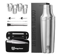 Magcheer 900ml Juego de Coctelera Profesional con 4 Vasos Plegables | 9 Piezas Cocktail Kit con Bolsa | Coctelera Aislante Resistente a las Heladas | Medidor Incorporado | Regalo Hombre(Plata)