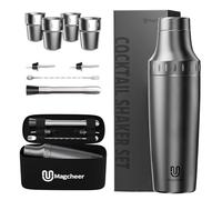 Magcheer 900ml Juego de Coctelera Profesional con 4 Vasos Plegables | 9 Piezas Cocktail Kit con Bolsa | Coctelera Aislante Resistente a las Heladas | Medidor Incorporado | Regalo Hombre(Gris)