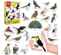 Magdum Imanes para frigorífico para niños - Aves - 25 imanes educativos