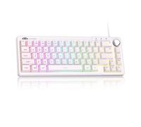 MageGee Teclado mini 60% para juegos, retroiluminado RGB de 66 teclas, teclado ultracompacto, TS68, ergonómico, impermeable, sensación mecánica, teclados de computadora de oficina para PC, Mac, PS4