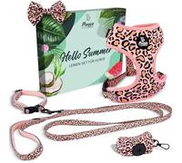 MAGGIE & COOPER Juego de correas para perros - Diseño Leo - 5 piezas: collar, arnés, correa, lazo, dispensador de bolsas de excrementos - 4 tamaños - Caja de regalo (M)