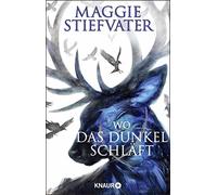 Maggie Stiefvat Wo das Dunkel schläft: Das phänomenale Finale der (Tapa blanda)