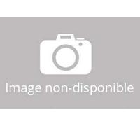 Maggini String Quartet N.Y. - TCHAIKOVSKY : La Belle Au Bois Dormant / Quatuor a cordes N° 1 / Ouverture Solenelle