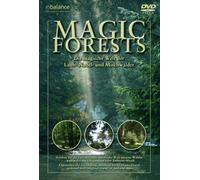 Magic Forests - Die magische Welt der Laub-, Nadel- und Mischwälder [Reino Unido] [DVD]