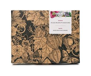 Magic Garden Seeds Regalo de semillas bio Plantas sagradas de los druidas | Verbena, berro, reina de los prados & artemisa • Plantas mágicas de los celtas • Con guía de siembra y caja regalo