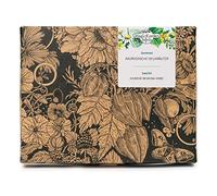 Magic Garden Seeds Set regalo de semillas Ayurveda con 3 plantas indias | Tres plantas medicinales ayurvédicas: Ashwagandha, Tulsi y cálamo • Con guía de siembra