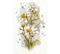 Magic Needle 100-103 ZW - Juego de punto de cruz (algodón, 14 x 23 cm), diseño de margaritas blancas