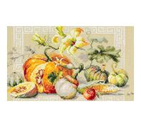 Magic Needle 120-111 ZW - Kit de punto de cruz (30 x 20 cm), diseño de calabaza