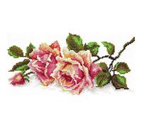 Magic Needle 40-48 ZW - Kit de punto de cruz con patrón de recuento Zweigart Edition, algodón, multicolor, 25 x 12 cm