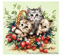 Magic Needle 58-12 - Kit de punto de cruz con diseño de gato (algodón, 35 x 31 cm), multicolor