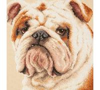 Magic needle 59-21 ZW Bulldog - Kit de punto de cruz con patrón de recuento Zweigart Edition, algodón, multicolor, 25 x 25 cm