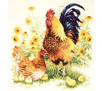 Magic needle 64-09 ZW Family - Kit de punto de cruz (39 x 41 cm), diseño de flores