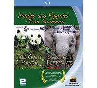 Magic Play Entertainment - Pandas & Pygmies: True Survivors [USA] [Blu-ray]