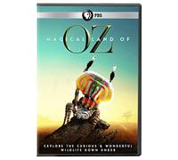 Magical Land Of Oz [USA] [DVD]