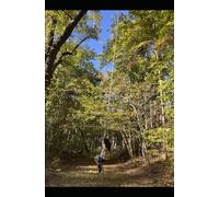 Magical Life of Mystery: Book of Poetry