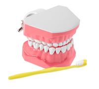 MAGICLULU 1 Juego de Práctica de Cepillado con Cepillo y Dientes para Demostración de Técnicas de Limpieza Bucal Escuelas y