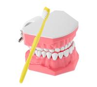 MAGICLULU 1 Juego de Práctica de Cepillado con Diseño Realista para Educación Oral Escuelas de Dientes y Cepillo de Entrenamiento para Técnicas de Cepillado