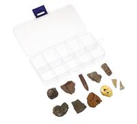 MAGICLULU 10 Piezas Fósiles Antiguos Decoración y Educación Aula Kit de Especímenes Paleontológicos Enseñanza y Ornamentación Casa