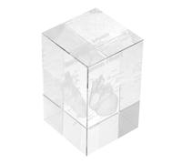 MAGICLULU Adornos tallados en Cristal Juguete científico para Modelo anatómico Realista pisapapeles Modelo anatómico Modelo de anatomía del pulmón Humano Modelo de Cerebro Transparente