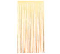 MAGICLULU Cortina de Flecos de Plástico 1X2 M Color Naranja Pastel para Decoración de Fiestas Fondo para Fotografía y Accesorios para Decoración de Eventos y Despedidas de Soltera