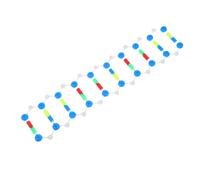 MAGICLULU de ADN Educativo para Estudiantes de Doble para Enseñanza de Genética y Biología Molecular Aulas y