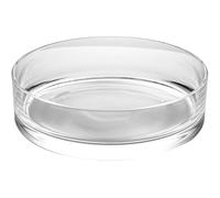 MAGICLULU Maceta Hidropónica Redonda para Plantas Transparente Resistente y Versátil para Hogar