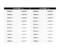 MAGICLULU Parche Adhesivo para Cejas 6D para Hombres 2 Pares de Parche Artificial para Cejas Herramienta de Maquillaje Fácil Aplicación y Efecto Natural