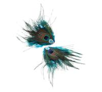 MAGICLULU Pinzas Pelo Accesorio Retro Vintage con Plumas de Pavo Real y Gemas de Imitación 2 Piezas, Diseño Detallado y Adorno Colorido para Mujer Adecuado para Bodas