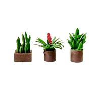 MagiDeal Bonsái en Miniatura a Escala 1:64, para casa de muñecas, jardín de Hadas, pequeñas Plantas Artificiales, Adorno Artesanal, decoración de macetas para, CafÉ