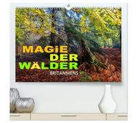 Magie der Wälder Britanniens (hochwertiger Premium Wandkalender 2026 DIN A2 quer), Kunstdruck in Hochglanz: Besondere, magische Momente eingefangen in den Wäldern Großbritanniens