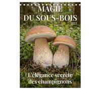 MAGIE DU SOUS-BOIS (Calendrier de bureau 2027 DIN A5 horizontal), CALVENDO calendrier mensuel: L'élégance secrète des champignons