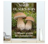 MAGIE DU SOUS-BOIS (Calendrier mural 2027 DIN A2 horizontal) calendrier de bureau: L'élégance secrète des champignons