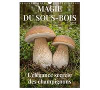 MAGIE DU SOUS-BOIS (Calendrier mural 2027 DIN A3 horizontal), CALVENDO calendrier mensuel: L'élégance secrète des champignons