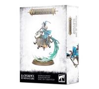 Magister en Disc of Tzeentch